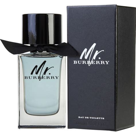 burberry mr.burberry men eau de toilette spray|burberry classic eau de toilette.